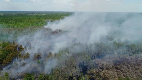 Aerial of Bush Fire Stock Footage 115532043