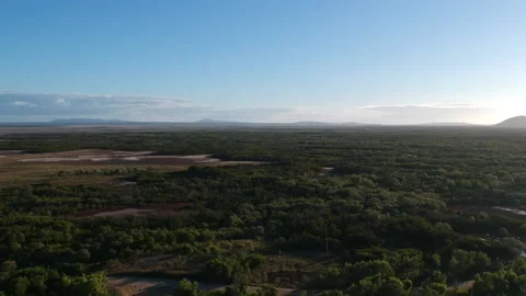 Aerial of Bushland Stock Footage