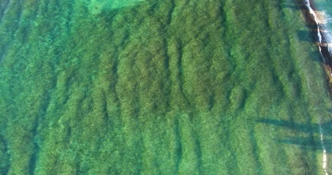 Aerial of calming waves Stock Footage 259113569
