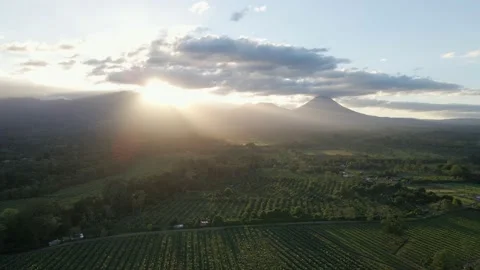AERIAL - Camera circles over farming fields and the morning sun Stock Footage 169023922
