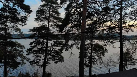 Aerial camera crane up behind forest trees revealing water with colorful sunset Stock Footage 96655865