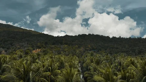 Aerial camera dives down from above view of the road to behind of motorbike ride Stock Footage 121391591