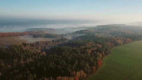 Aerial camera flies over the fields and forests. Stock-Footage 105609402