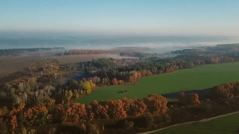 Aerial camera flies over the fields and forests. Vídeo Stock 105612543