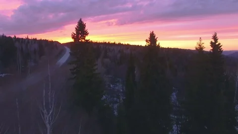 AERIAL: The camera flies over the forest with bloody red sunset and mountains Stock Footage 82029049