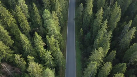 Aerial. Camera flying over small road in polish mountains surrounded by trees. Video stock 147632288