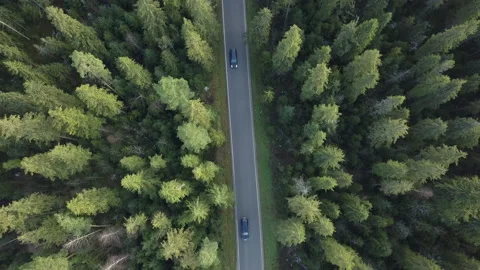 Aerial. Camera flying over small road in polish mountains surrounded by trees. Stock Footage 147632501