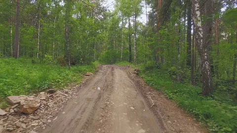 AERIAL: Camera move along dirty road between trees after the rain. Video stock 78035876