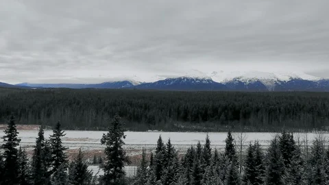 Aerial camera moves over a pine forest in the mountains on a winter day Vídeo Stock 119236774