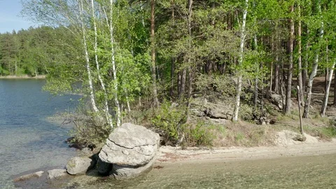 Aerial; camera moving up; footage of dense mixed forest Stock Footage 109561253