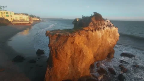 Aerial camera moving over the flock of cormorants and seagulls Stock-Footage 137407157
