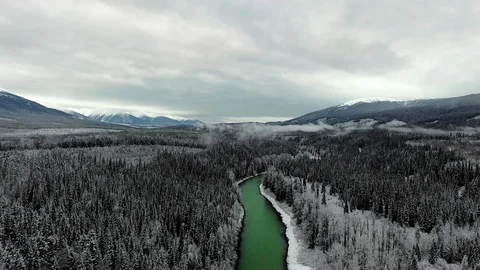 Aerial camera moving over a pine forest with the river on a frosty winter day Vídeo Stock 119237399