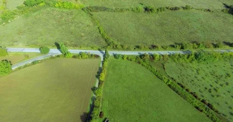 Aerial camera shot. Forest road, field and forest in summer. An empty straight Stock Footage 73606088