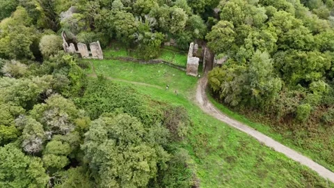 Aerial Camera Tilt-Down and Forward Pan Over Antica Monterano Ruins Video stock 320496782