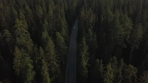 Aerial. Camera tilting from small road surrounded by trees to view of mountains. Stock Footage 147632631