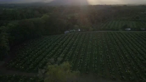 AERIAL - Camera tilts up from farming field revealing powerful light rays Stock Footage 169023892