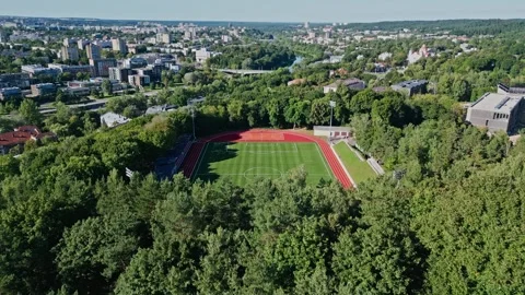 Aerial camera view on the forest and the stadium. View of the football field and Vidéo 248647856