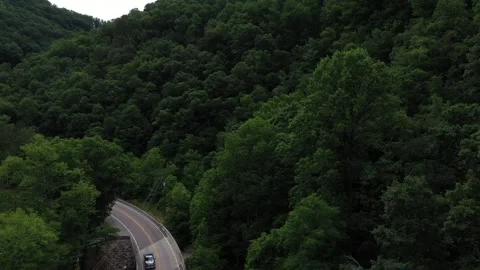 Aerial Camera_ dense forest with rural country road in HD- 60fps Stock Footage 220803512