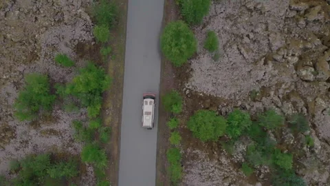 Aerial Camper Van Through Forest Stock Footage 261624756