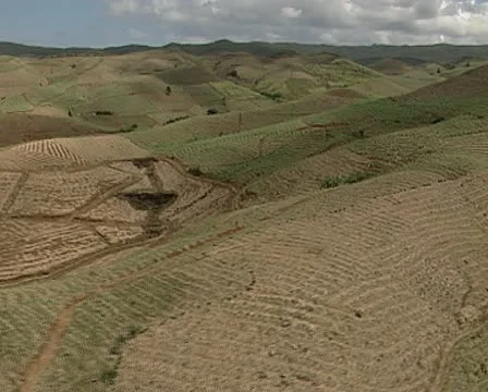 Aerial of cane fields in Mauritius Stock Footage 11308584