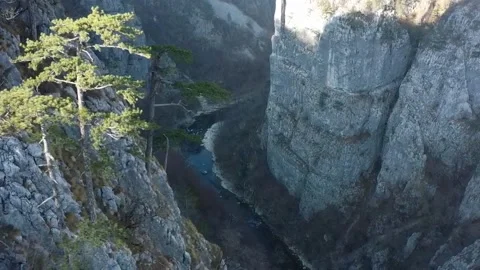 Aerial canyon tree river Stock Footage