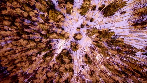 Aerial capture of dramatic red rock outcrops in New Mexico Vidéo 334767385