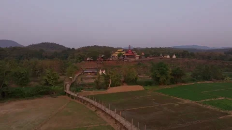 Aerial capture of narrow bamboo path above green fields, Thailand Stock Footage 309146285