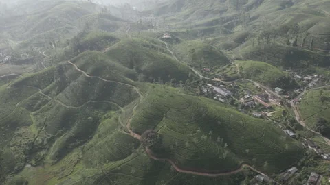Aerial Capture of Tea Hills of Maskeliya Sri Lanka I DLog M Flat Color Stock Footage 314991853