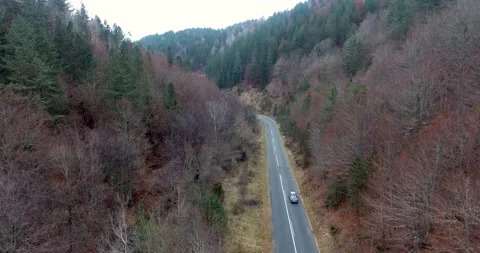 Aerial of car driving on an empty road during fall season Video stock 145694394