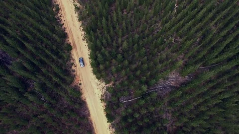 Aerial of car driving through pine forest Video stock 81659384