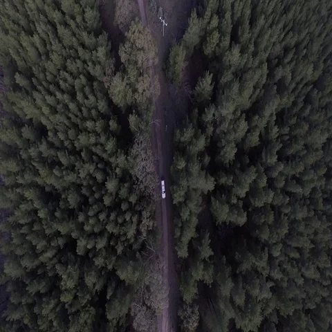 Aerial of a car moving through forest road Stock Footage 69401798