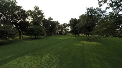Aerial of Castle through trees Stockbeeldmateriaal 41530720