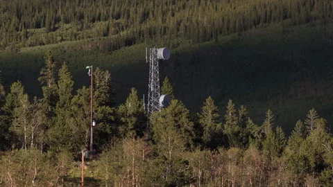 Aerial of cell tower and utility pole in Pike and San Isabel National Forests Stock Footage 342751916