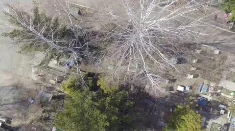 Aerial: cemetery Video stock 61887578