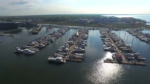 Aerial Charleston Harbor Marina Stock Footage