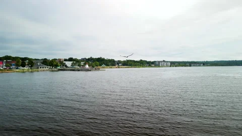 Aerial Chase of Bald Eagle Over River Border USA and Canada | 4K Drone Footage Stock-Footage 314023771
