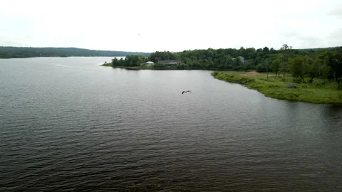 Aerial Chase of Bald Eagle Over River Border USA and Canada | 4K Drone Footage Stock Footage 314023879