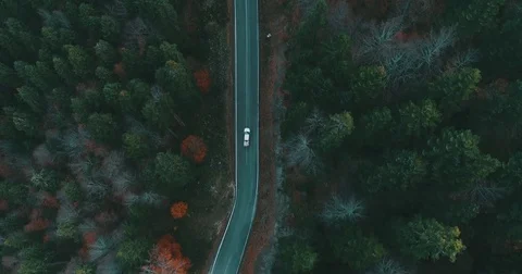 Aerial Chasing Gray Car On The Forest Road With Remote Controlled Drone 4K Stock Footage 82649327