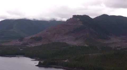 Aerial of Chopped down trees on hill (Drone) Video stock 26408602