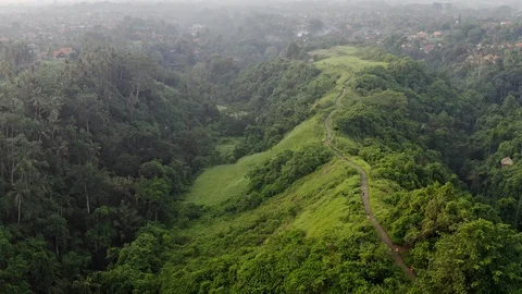 Aerial Cinematic Drone View Of a Path At Sunrise, Surrounded By Rice Fields And Stock Footage 128394000