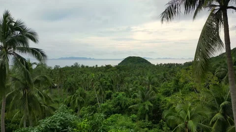 Aerial Cinematic Flight Over Mancingan Rice Terraces Bali Sunset 動画素材 337477480