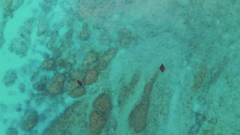 Aerial Cinematic Flight Over Manta Rays Diamond Beach Sunset 4K Vidéo 342178366