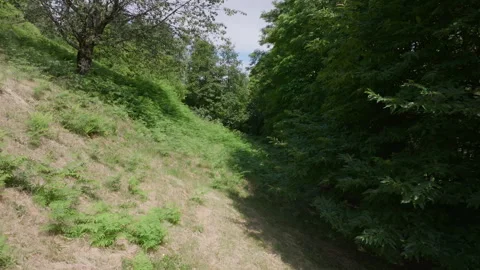 Aerial cinematic motion through dense forest terrain Stock Footage 263477002