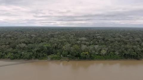 Aerial cinematic view of Amazon rain forest jungle and river. Puerto Maldonado Stock Footage 93789451