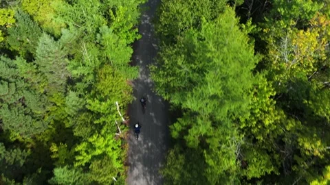 Aerial Cinematic View Two Cyclists Riding Through Park Trail Near Lake Forest Stock Footage 317998933