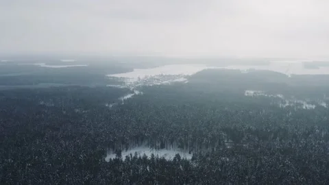 Aerial cinematic winter forest, flyover beautiful woodland, foggy day Stock Footage 147406953