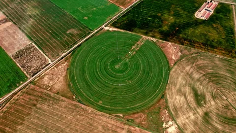 Aerial of circular irrigation patterns in a Spanish field. Stock Footage 257337601