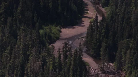 Aerial of Clear Fork Cowlitz River in Gifford Pinchot National Forest Vídeos de archivo 339377002