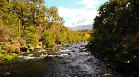 Aerial: Clear Mountain Stream In Forest Low Angle Flyover In Patagonia Chile 2K 스톡 동영상 64673435