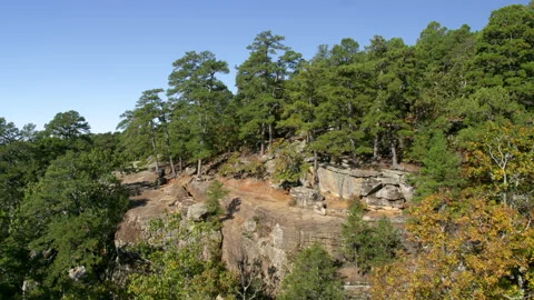 Aerial of a Cliff in a Forest Stock Footage 149450807